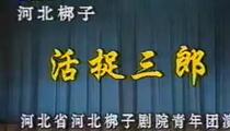 河北梆子《活捉》 王洪玲