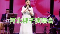 河北梆子《河北梆子演唱会》上半场