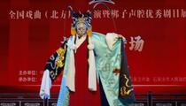 河北梆子《美猴王大战金钱豹》折子戏