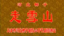 河北梆子《走雪山》选场 王伯华