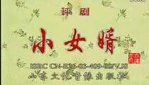 评剧《小女婿》全剧