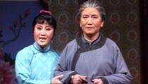 评剧杨三姐告状舞台版谷文月赵丽蓉