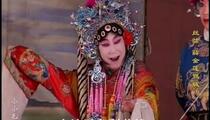 丝弦《薛金莲骂城》 王秀金 张惠英