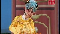 武安平调落子名段精选14部