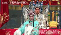 山东梆子《老羊山·诉堂》 纵宛宛