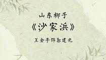 山东梆子《沙家浜》