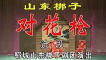 山东梆子《对花枪》全场 王爱霞