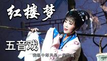 五音戏《红楼梦》 荆功硕 路萌 路金红