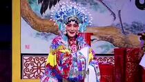 柳琴戏《三击掌》 张金兰 邵瑞武