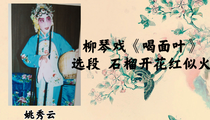 柳琴戏《喝面叶》选段 姚秀云