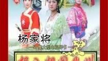 杨家将琴书 杨八姐闯幽州杨六郎盗尸全本