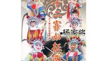 杨家将六十二寡妇征西杨怀玉认祖归宗琴书