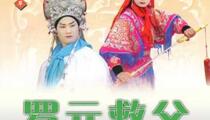 罗元下山琴书全26集罗家将英雄传奇