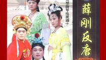 薛家将系列薛刚反唐琴书全40集