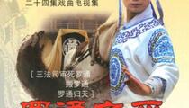 琴书罗家将罗通扫北后续罗通归天全本