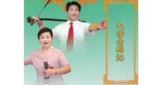 琴书包公案大宋金鸠记王宝童篡御状17集