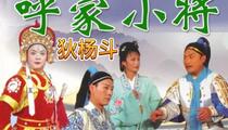 狄杨斗之二呼家小将琴书全本