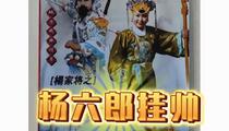杨家将杨六郎挂帅琴书全53集