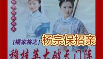 杨宗保招亲大破天门阵琴书全32集