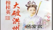 四大破洪州杨宗保招亲 琴书全8集