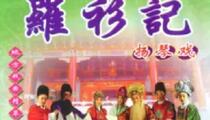 罗衫记琴书周银侠王道兰全集
