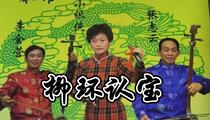琴书《柳环认宝》 张桂银 周银侠 李全营