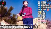 山东民歌《经典山东沂蒙小调音乐精选 二》片段