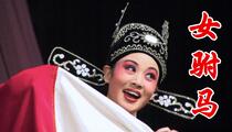 黄梅戏《女驸马》韩再芬吴美莲1080p高清