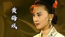 高清黄梅戏大全16部经典合集