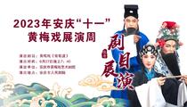 黄梅戏《葡萄渡》 姜林 候婷婷 张健