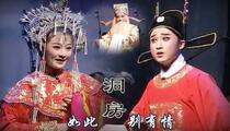 何云黄梅戏CP系列精彩剪辑27部