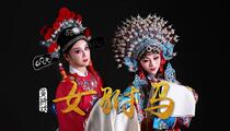 黄梅戏《女驸马》 王琴 夏圆圆 汪春霖
