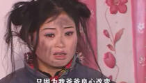 庐剧《小白菜泪汪汪》4