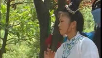 庐剧《庐剧·杨排风大战北国》第6本（完）