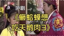 庐剧《癞蛤蟆想吃天鹅肉3》