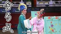 含弓戏《白楼恨》刘长芳 马其胜 陈文慧