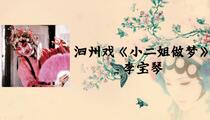泗州戏《小二姐做梦》全场 李宝琴