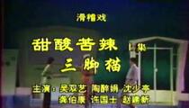 滑稽戏《甜酸苦辣》