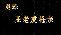 越剧王老虎抢亲戚雅仙毕春芳经典喜剧全集