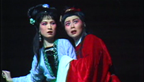 越剧碧莲仙子全场3部较清晰