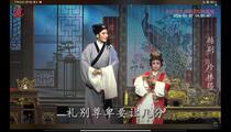 越剧珍珠塔全剧唱段杨爱妮主演
