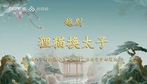 越剧狸猫换太子像音像吴凤花吴素英陈飞