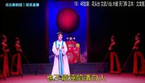 婺剧《正本文龙冤》