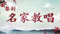 婺剧名家教唱24部经典合集