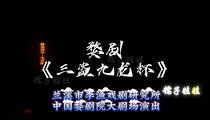 婺剧三盗九龙杯全本字幕下载