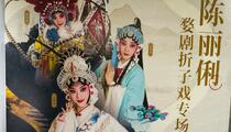 陈丽俐婺剧碧桃花拷打提牢片段