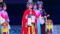 婺剧狸猫换太子上全本字幕陈世杰董月娟
