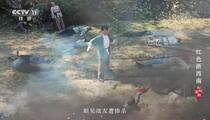 松阳高腔《红色浙西南》