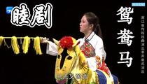 睦剧《鸳鸯马》 徐力 徐四娟 方莎莎 吴丽芳