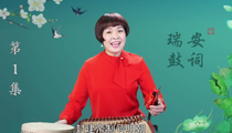 温州鼓词红绿梅花簪24部全集